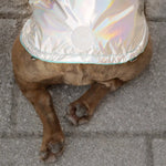 Load image into Gallery viewer, Reversible Dog Raincoat By GF PET DS
