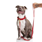 Load image into Gallery viewer, Balley Dog Leash By Moshiqa
