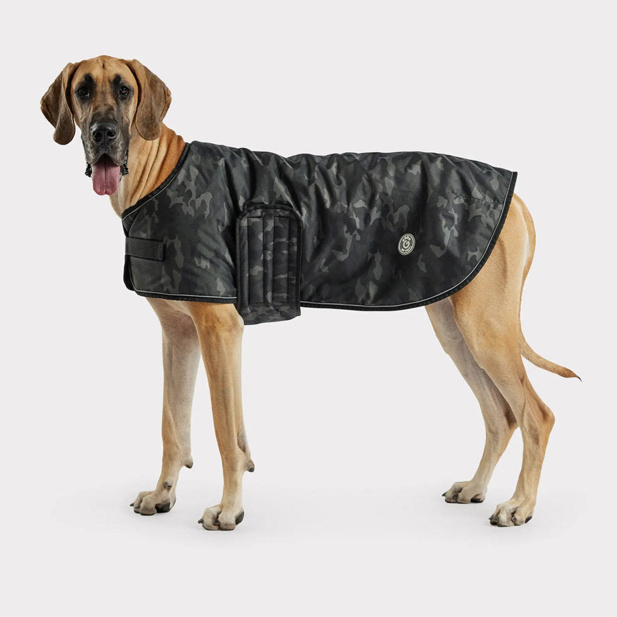 Blanket Dog Jacket by GF PET DS