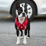 Load image into Gallery viewer, Dog Travel Harness By GFPET
