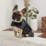 Load image into Gallery viewer, Blanket Dog Jacket by GF PET DS
