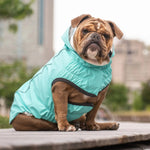 Load image into Gallery viewer, Reversible Dog Raincoat By GF PET DS
