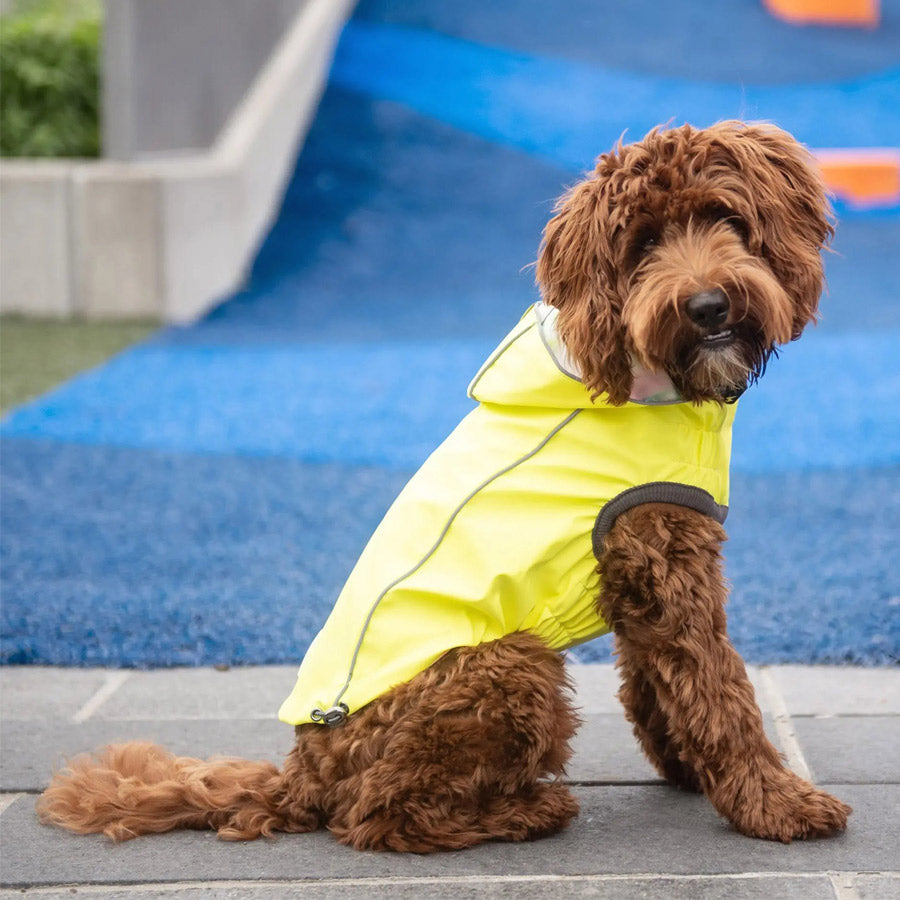 Reversible Dog Raincoat By GF PET DS