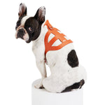 Load image into Gallery viewer, Pierre Dog Harness By Moshiqa
