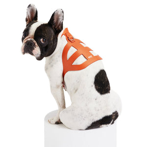 Pierre Dog Harness By Moshiqa