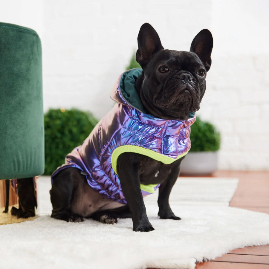 RECYCLE DOG PARKA by GF PET WDS (IRIDESCENT)