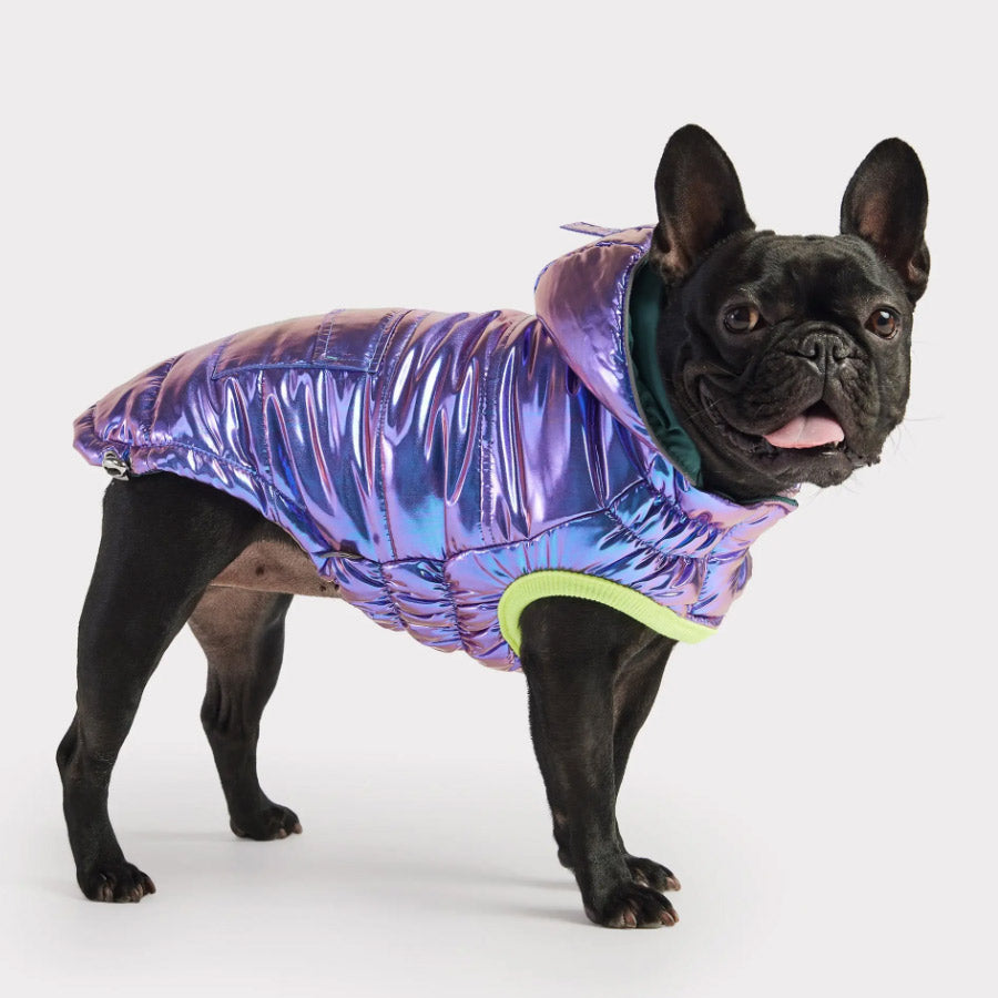 RECYCLE DOG PARKA by GF PET WDS (IRIDESCENT)