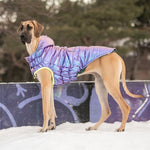 Load image into Gallery viewer, RECYCLE DOG PARKA by GF PET WDS (IRIDESCENT)
