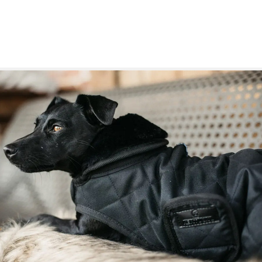 DOG COAT ORIGINAL by KENTUCKY WS (BLACK)
