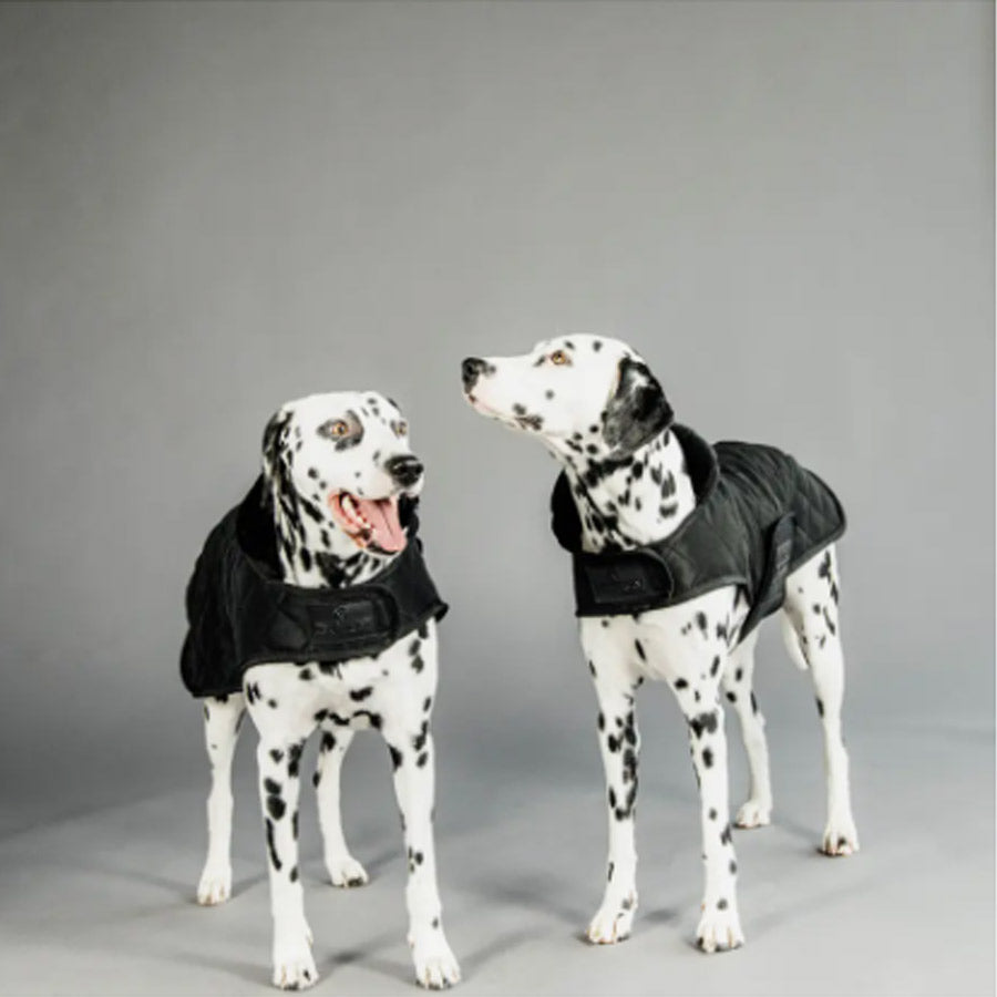 DOG COAT ORIGINAL by KENTUCKY WS (BLACK)