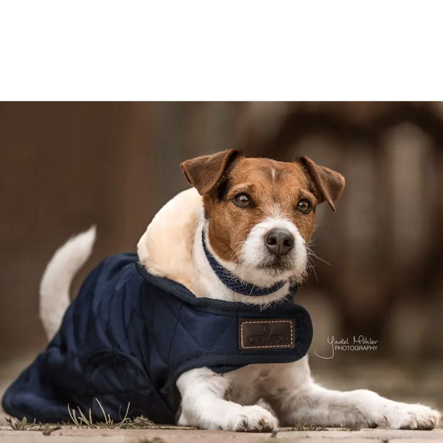 DOG COAT ORIGINAL by KENTUCKY WS (NAVY)