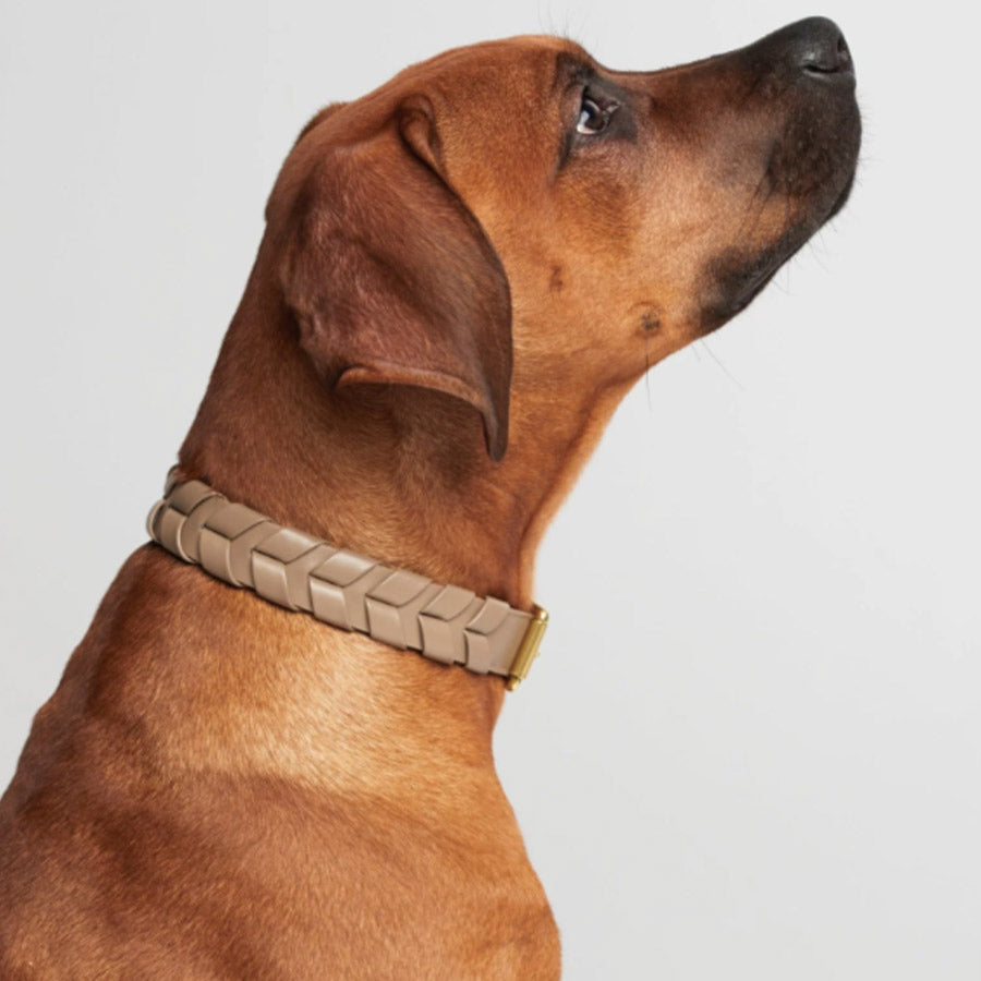 MELA CASPITA COLLAR by BY SCOUT WS (TAUPE)