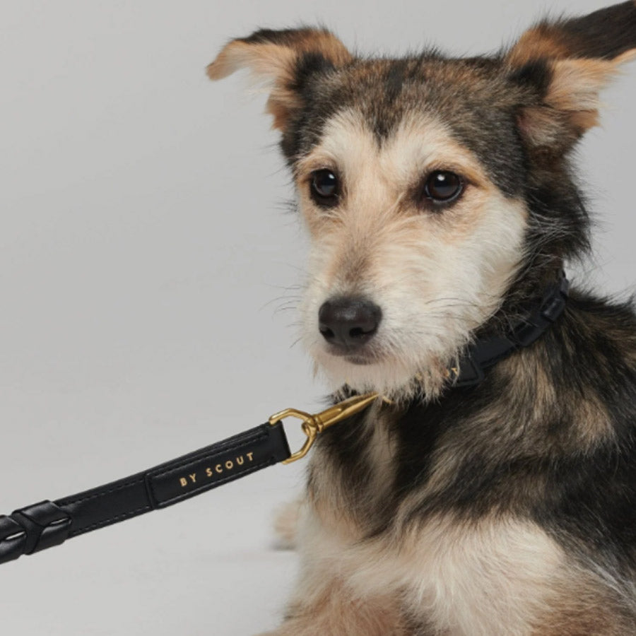 MELA CASPITA COLLAR by BY SCOUT WS (BLACK)