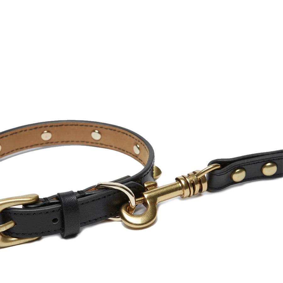 GOLDEN RIVET LEATHER COLLAR by OVERGLAM WDS (BLACK)