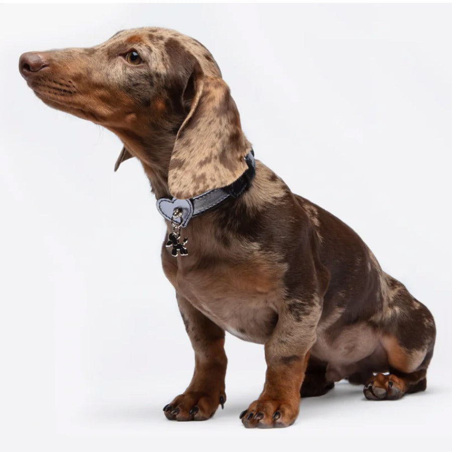 HEART COLLAR by BAURDELLE WS (BLACK)