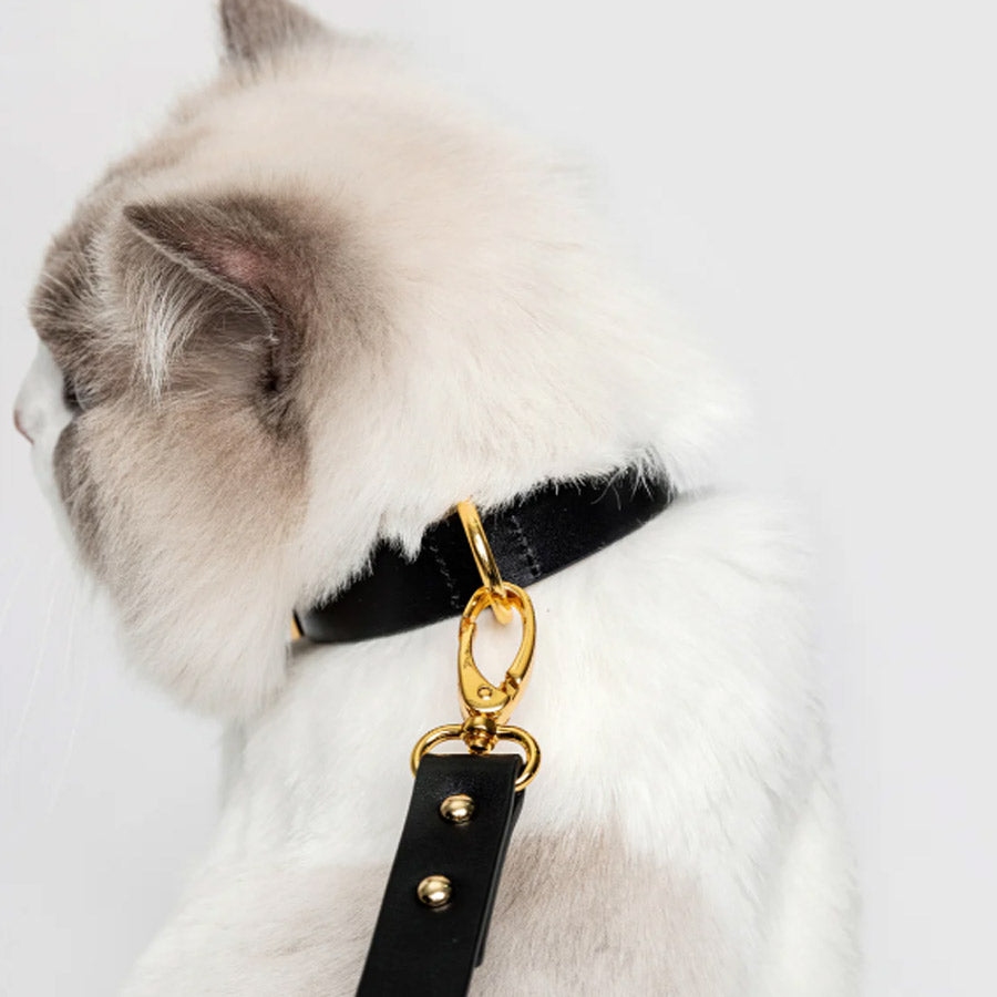 PREMIUM LEATHER COLLAR by OVERGLAM WDS (BLACK)