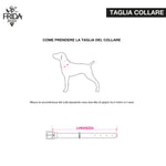 Load image into Gallery viewer, ROCK BOW COLLAR  by FRIDA FIRENZE WS (BLACK)
