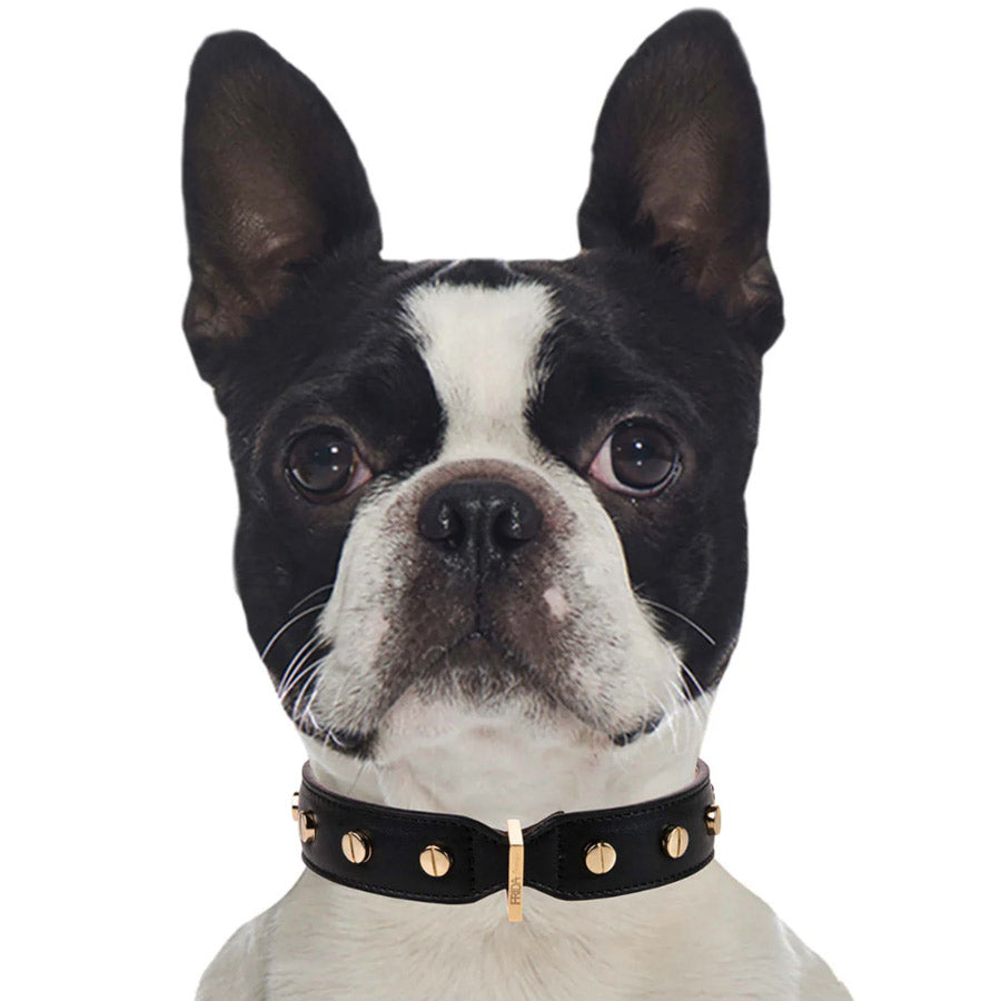 STUD SCREW COLLAR  by FRIDA FIRENZE WS (BLACK)