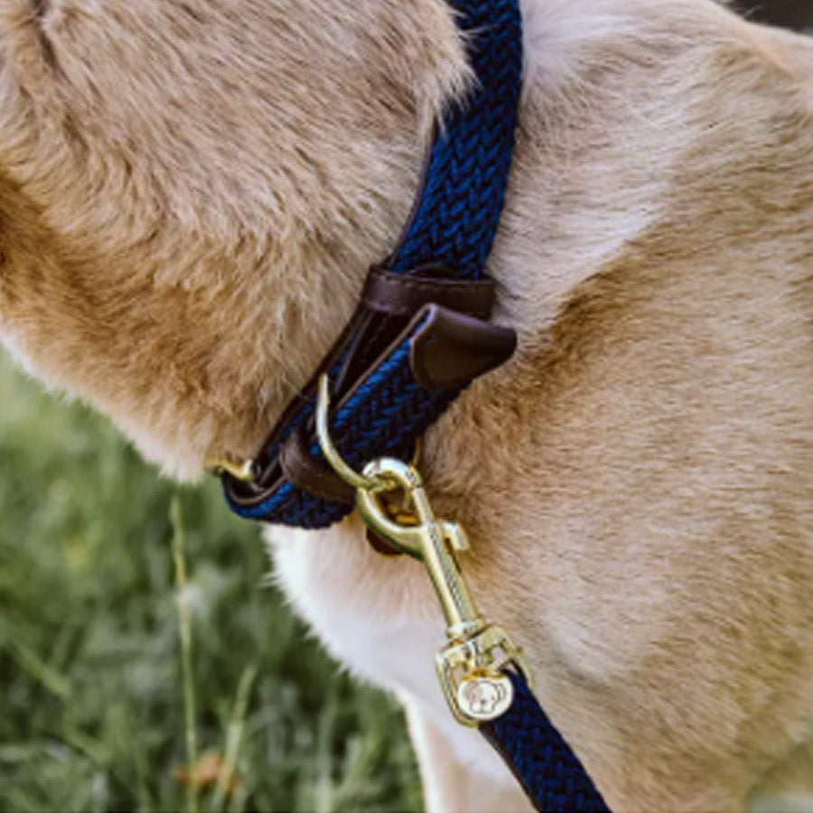 PLAITED NYLON DOG COLLAR by KENTUCKY WS (NAVY)