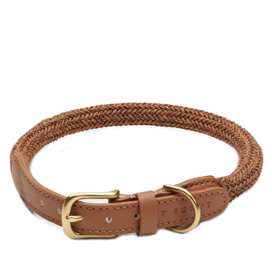 EVERY COLLAR by BY SCOUT WS (BROWN BLEND)