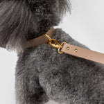 Load image into Gallery viewer, PREMIUM LEATHER COLLAR by OVERGLAM WDS (BROWN)
