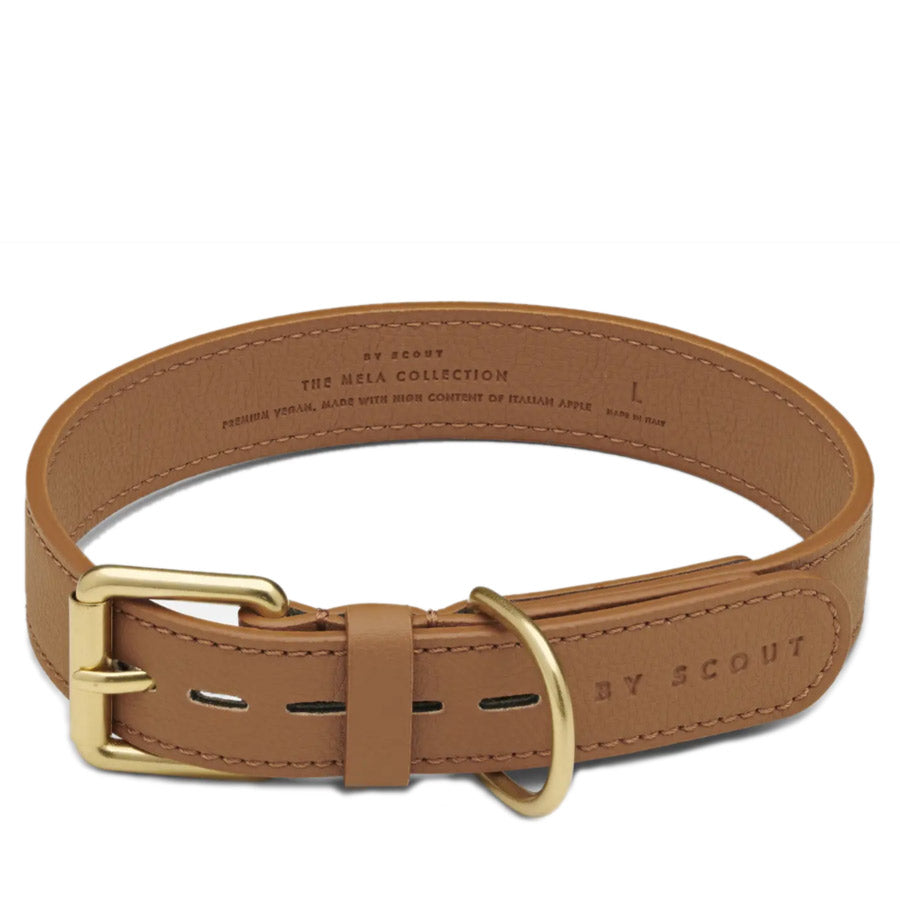 MELA BASIC COLLAR by BY SCOUT WS (COGNAC)