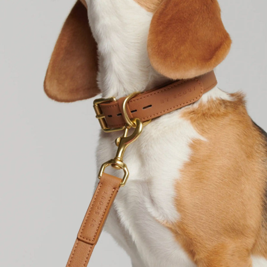 MELA BASIC COLLAR by BY SCOUT WS (COGNAC)