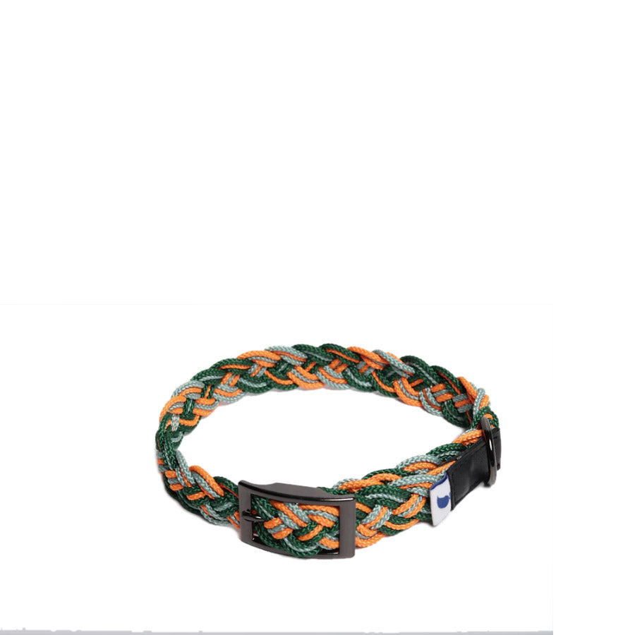 CORME DOG COLLAR by THE PAINTER'S WIFE (GREEN)