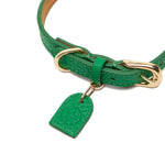 Load image into Gallery viewer, LEATHER COLLAR by OVERGLAM WDS (GREEN)
