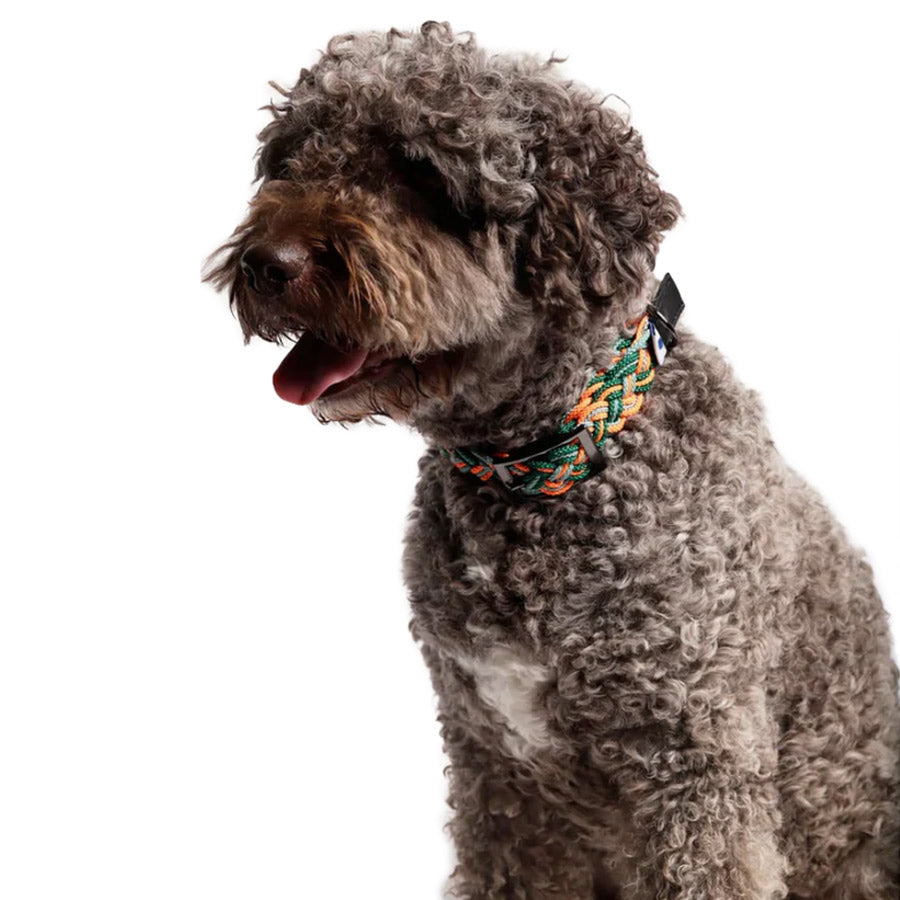 CORME DOG COLLAR by THE PAINTER'S WIFE (GREEN)