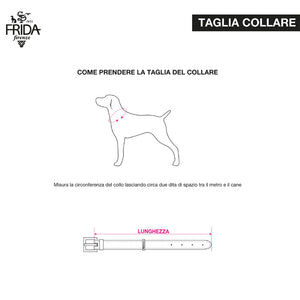 CLASSIC RIBBON COLLAR  by FRIDA FIRENZE WS (PINK)