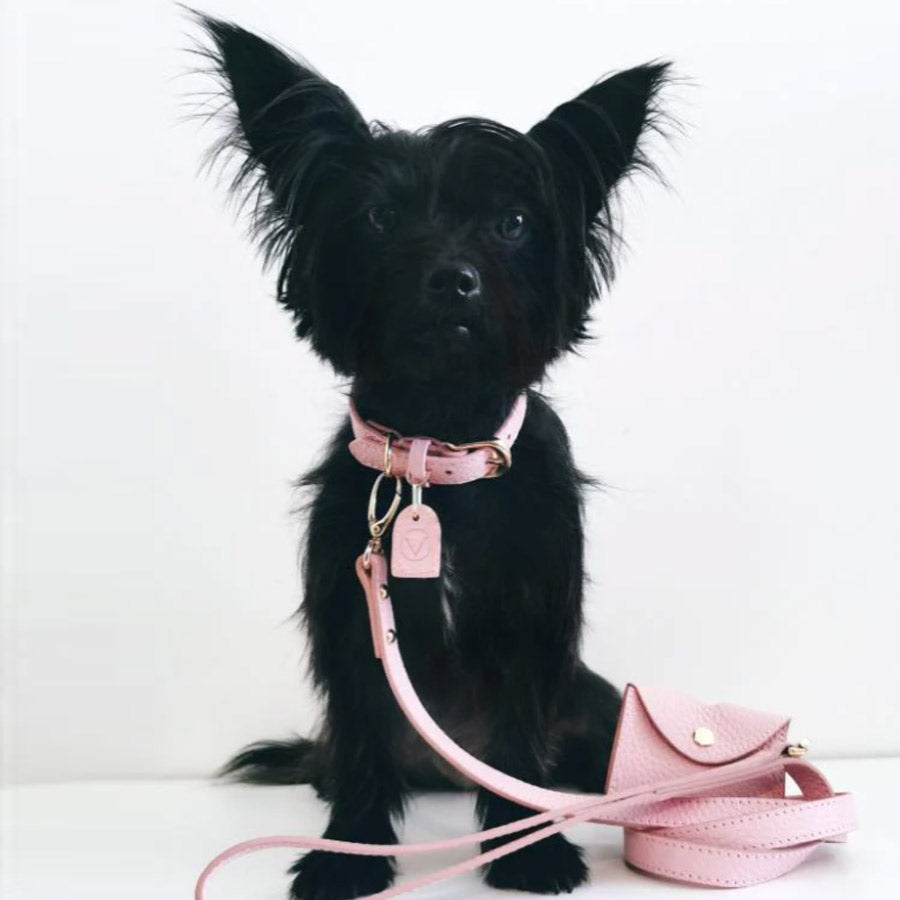 LEATHER COLLAR by OVERGLAM WDS (PINK)
