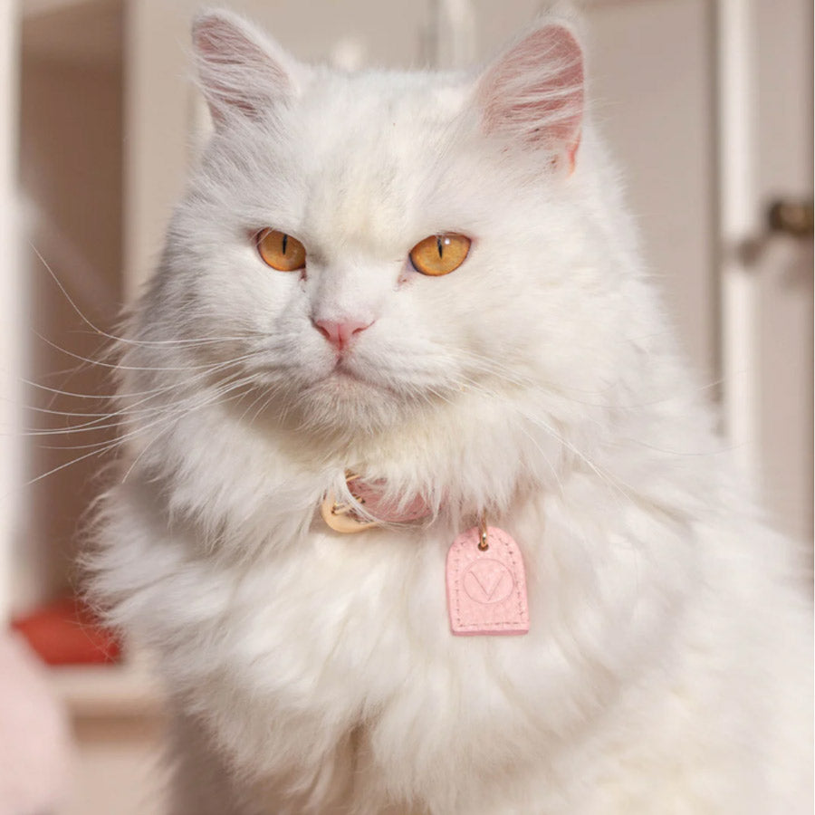 LEATHER COLLAR by OVERGLAM WDS (PINK)