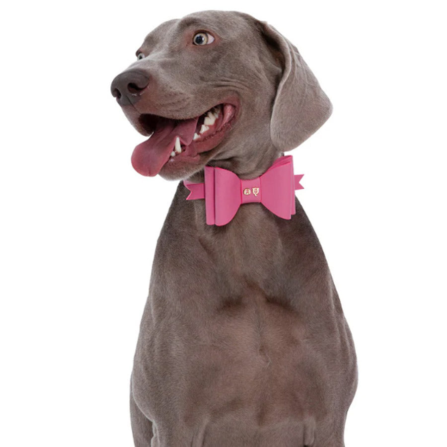 METAPINK BOW COLLAR by MOSHIQA WDS (PINK)