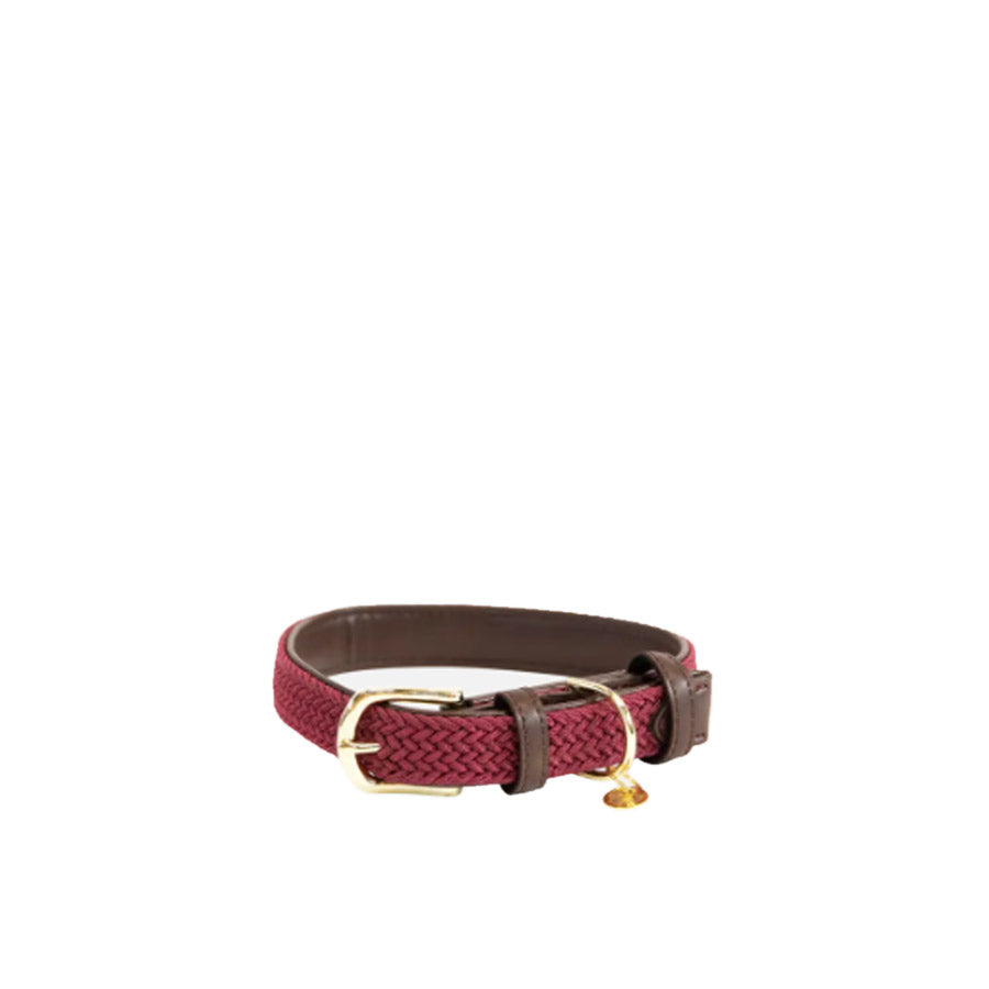 PLAITED NYLON DOG COLLAR by KENTUCKY WS (BORDEAUX)