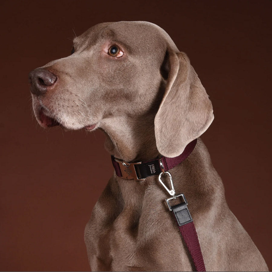 CLASSIC RIBBON COLLAR  by FRIDA FIRENZE WS (WINE)