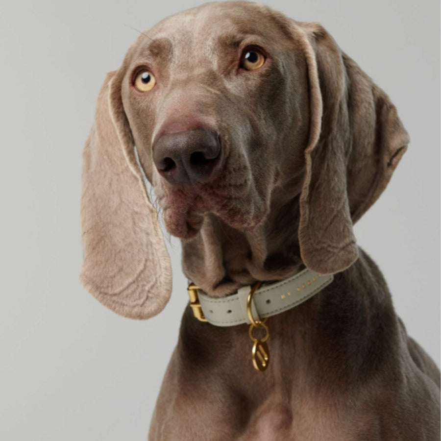 MELA CASPITA COLLAR by BY SCOUT WS (CREAM)