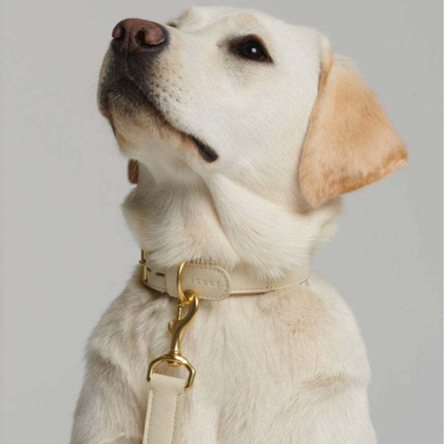 MELA BASIC COLLAR by BY SCOUT WS (CREAM)