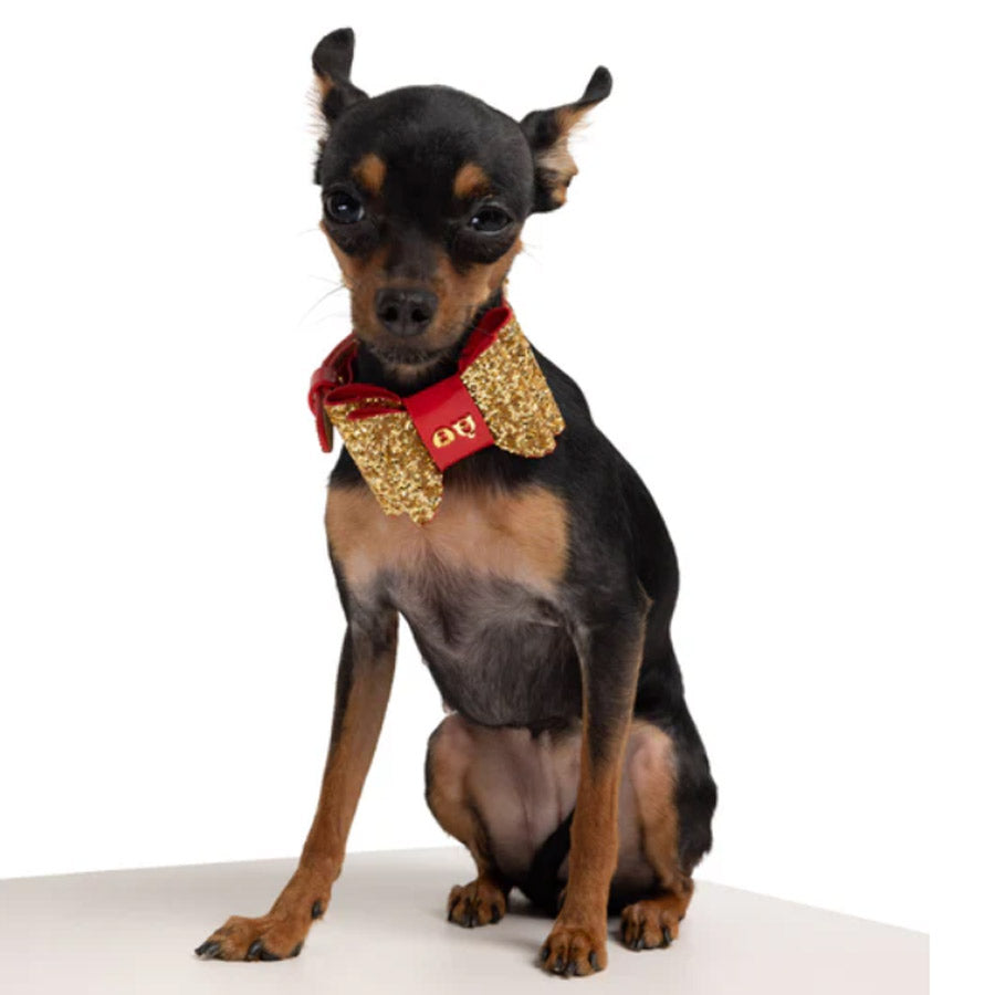 GLAM DOG COLLAR by MOSHIQA WDS (GOLD)