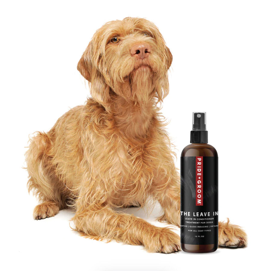 THE LEAVE IN by PRIDE+GROOM WDS