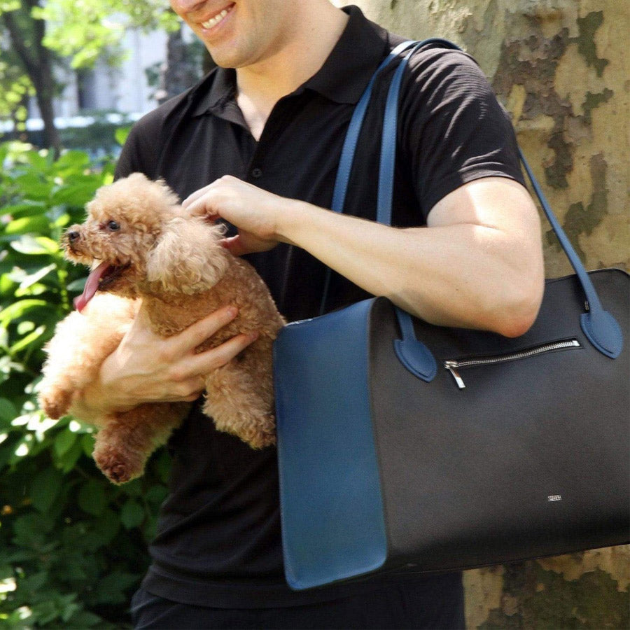 Cobalt Shaya Pet Carrier by SHAYA (DS in US only)