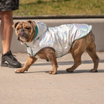 Load image into Gallery viewer, Reversible Raincoat - Neon Aqua with Iridescent
