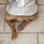 Load image into Gallery viewer, Reversible Raincoat - Neon Aqua with Iridescent
