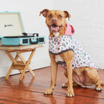 Load image into Gallery viewer, Reversible Elasto-Fit Raincoat - Pink/Pink
