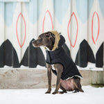 Load image into Gallery viewer, Urban Parka - Black
