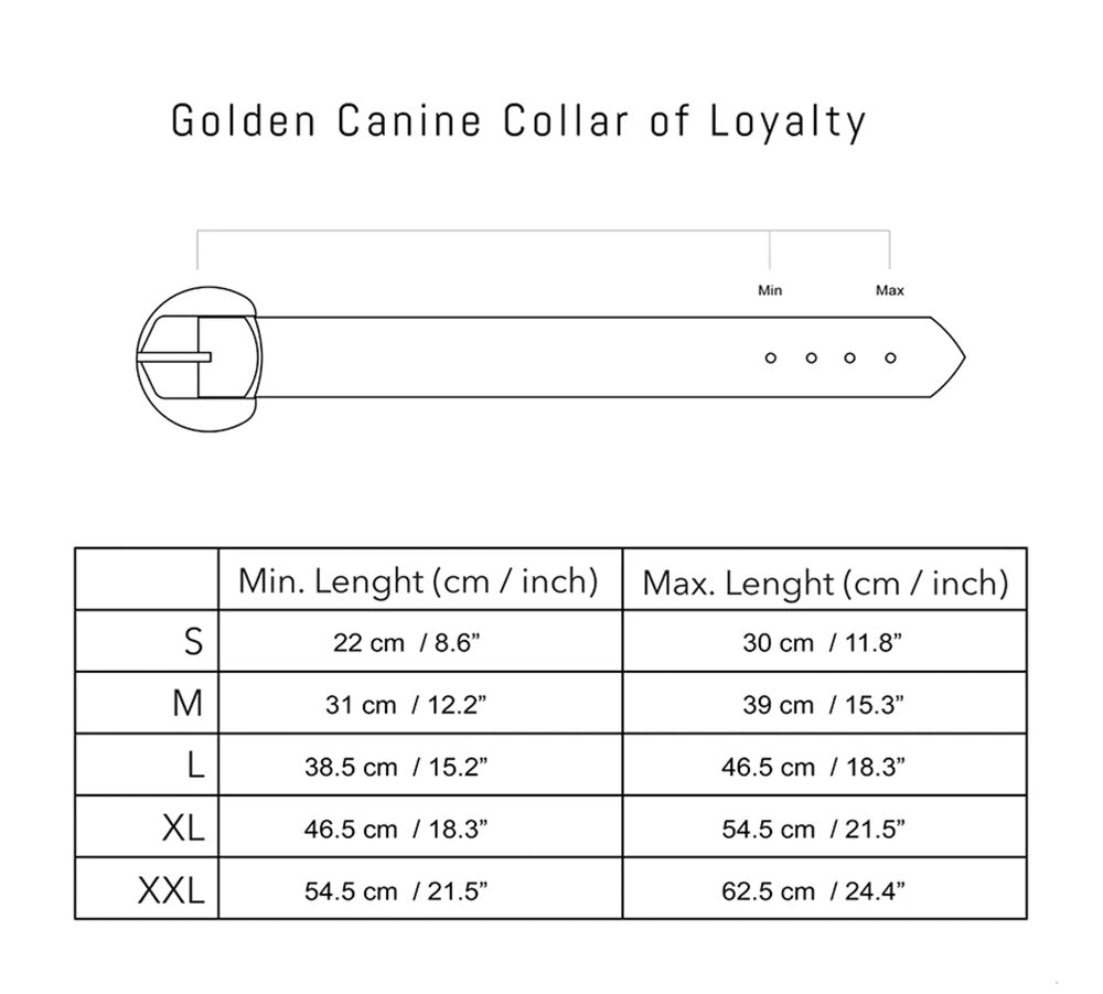 Golden Dog Collar of Loyalty By Moshiqa DS