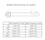 Load image into Gallery viewer, Golden Dog Collar of Loyalty By Moshiqa DS
