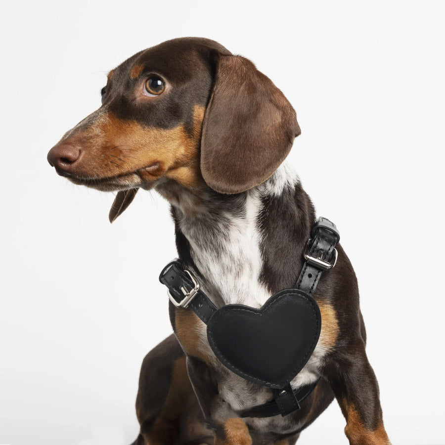 HEART HARNESS by BAURDELLE WS (BLACK)