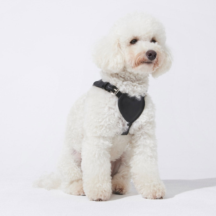 HEART HARNESS by BAURDELLE WS (BLACK)