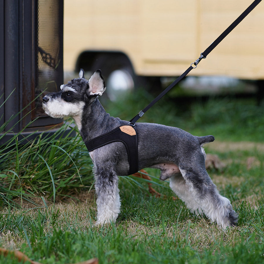 EASY HARNESS by CHARLIE'S BACKYARD WS (BLACK)